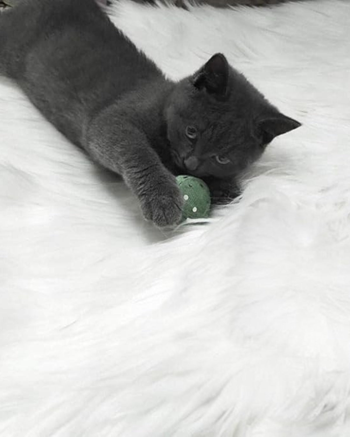 Le Luxe Furré
