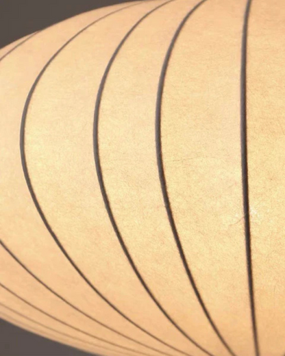 Rayon de Lumière